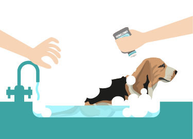 We bath dog grooming